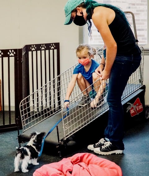 Puppy preschool class